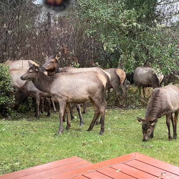 Meet your Posher, Raquel - Picture 16 of 17